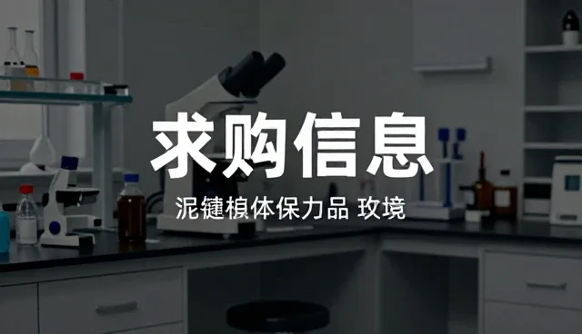 信息匹配中的产品发布策略与优化建议